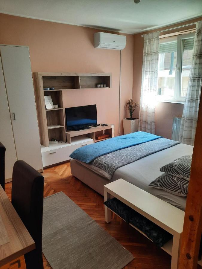 Apartmani Biljana Lazic Vrnjačka Banja Exteriér fotografie