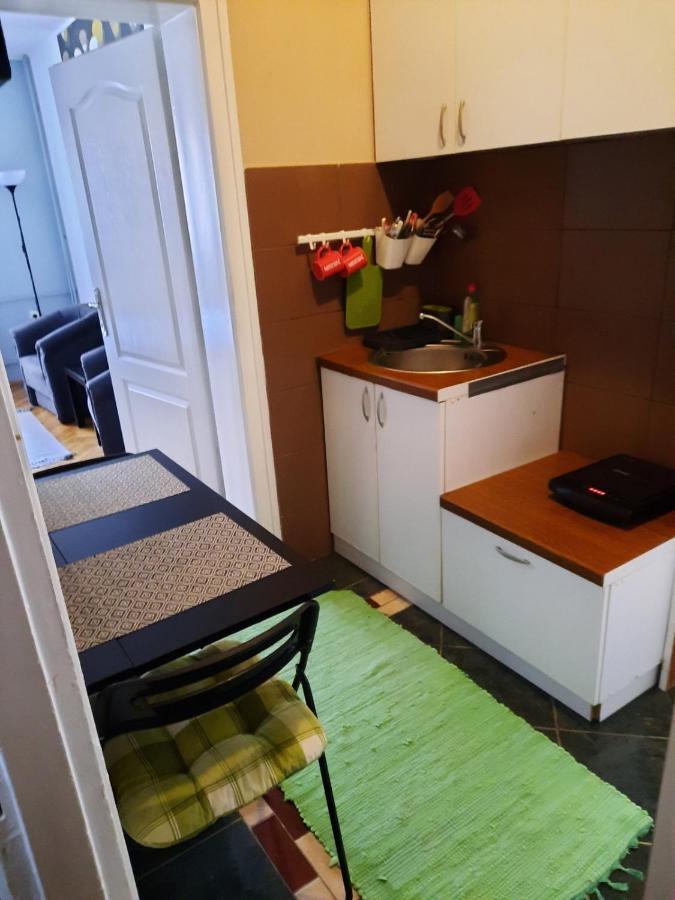 Apartmani Biljana Lazic Vrnjačka Banja Exteriér fotografie