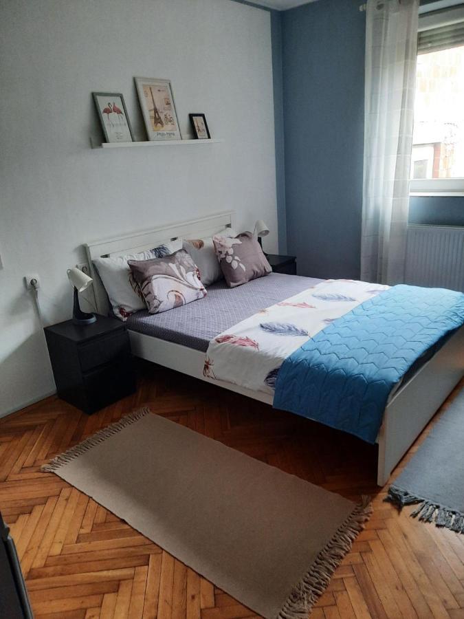 Apartmani Biljana Lazic Vrnjačka Banja Exteriér fotografie